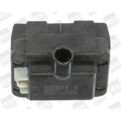 Ritė, uždegimas BorgWarner (BERU) ZS276