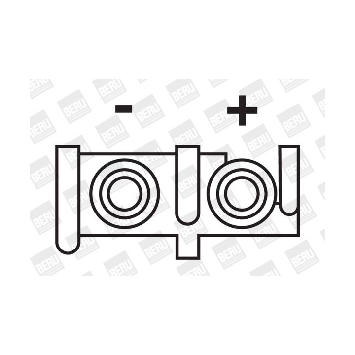 Ritė, uždegimas BorgWarner (BERU) ZS276