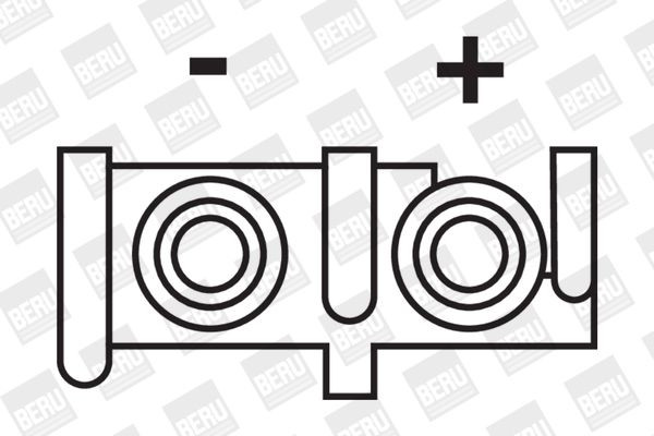 Ritė, uždegimas BorgWarner (BERU) ZS276