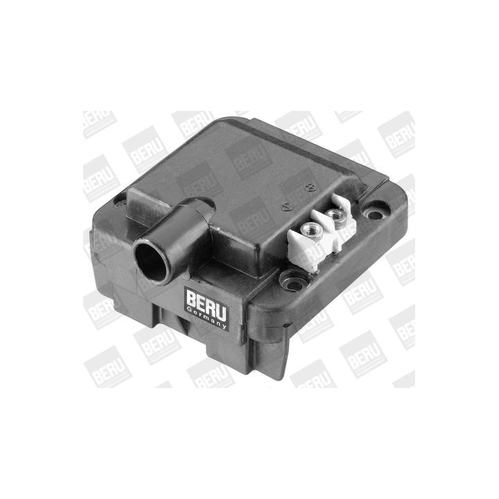 Ritė, uždegimas BorgWarner (BERU) ZS276