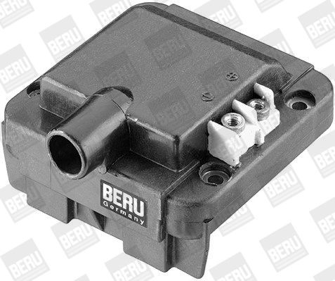 Ritė, uždegimas BorgWarner (BERU) ZS276