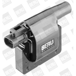 Ritė, uždegimas BorgWarner (BERU) ZS277