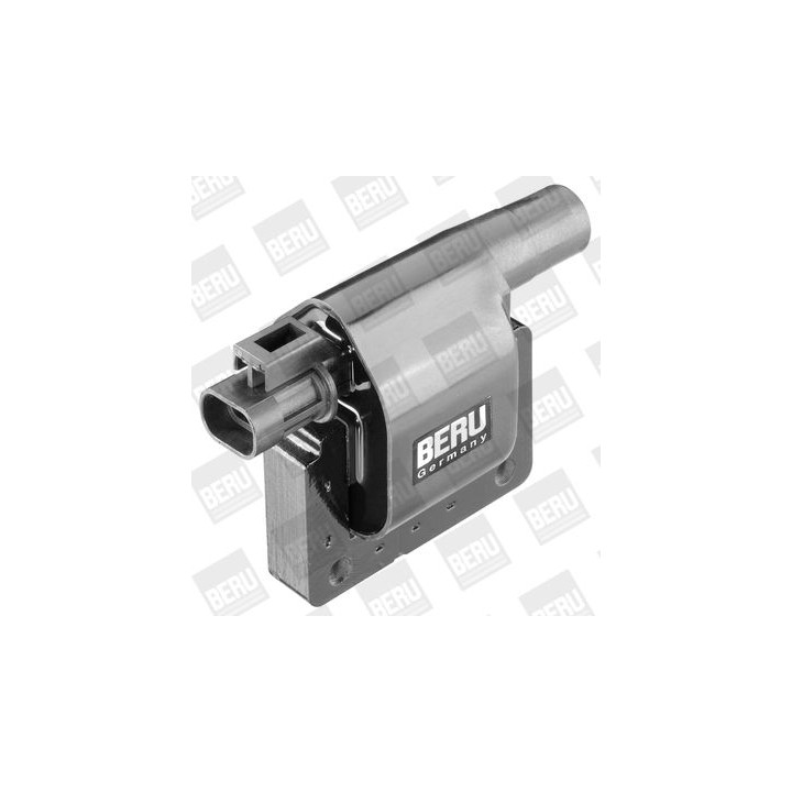 Ritė, uždegimas BorgWarner (BERU) ZS277