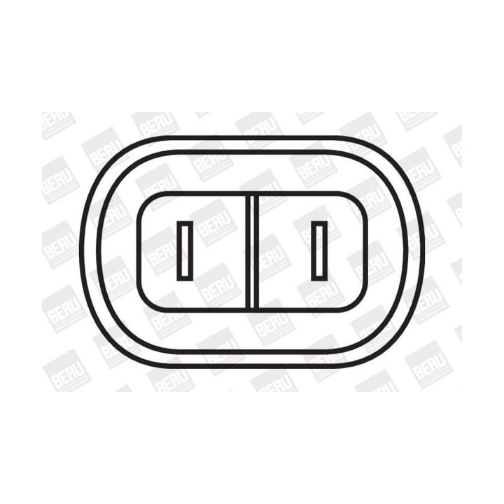 Ritė, uždegimas BorgWarner (BERU) ZS277