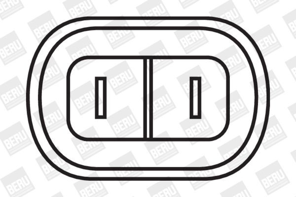 Ritė, uždegimas BorgWarner (BERU) ZS277