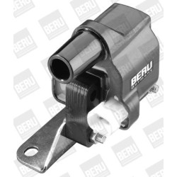 Ritė, uždegimas BorgWarner (BERU) ZS279