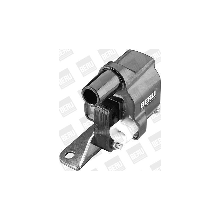 Ritė, uždegimas BorgWarner (BERU) ZS279