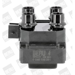 Ritė, uždegimas BorgWarner (BERU) ZS281