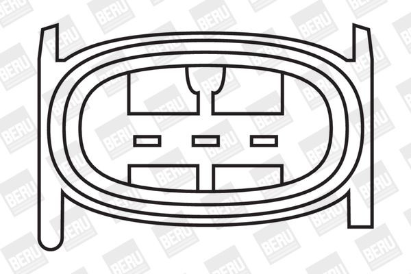Ritė, uždegimas BorgWarner (BERU) ZS281