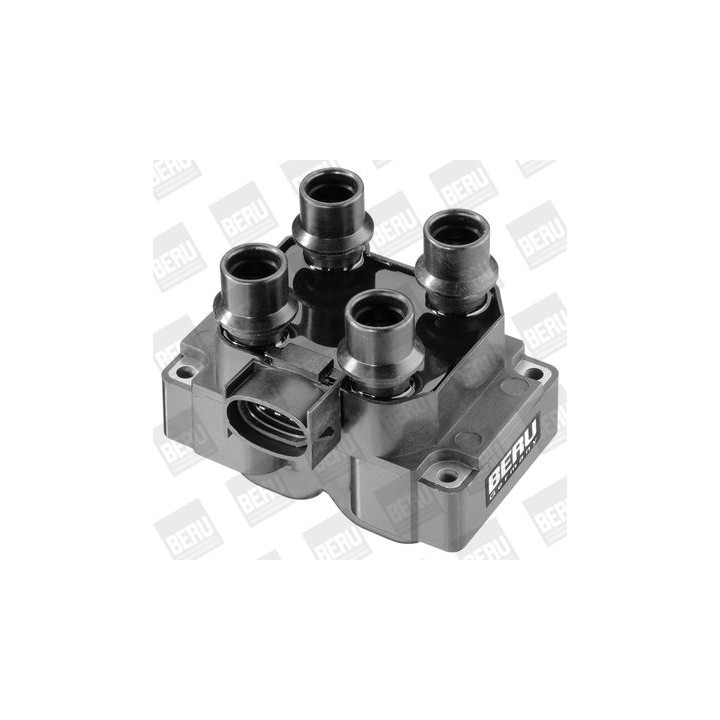 Ritė, uždegimas BorgWarner (BERU) ZS281