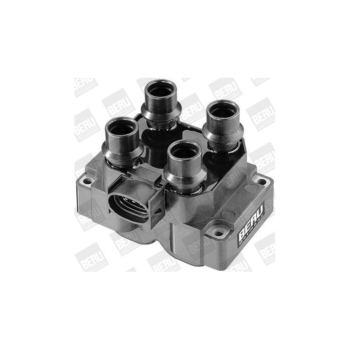 Ritė, uždegimas BorgWarner (BERU) ZS281