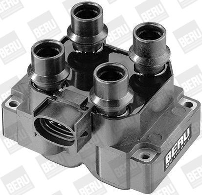 Ritė, uždegimas BorgWarner (BERU) ZS281