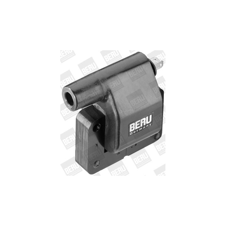 Ritė, uždegimas BorgWarner (BERU) ZS282