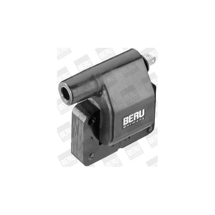 Ritė, uždegimas BorgWarner (BERU) ZS282