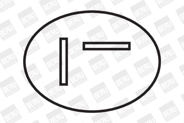Ritė, uždegimas BorgWarner (BERU) ZS282