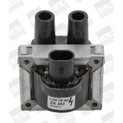 Ritė, uždegimas BorgWarner (BERU) ZS283