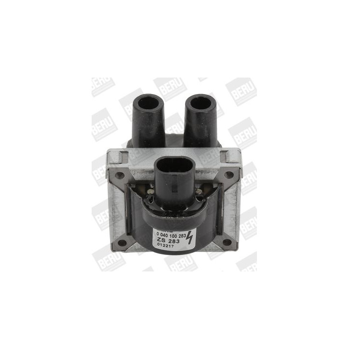 Ritė, uždegimas BorgWarner (BERU) ZS283