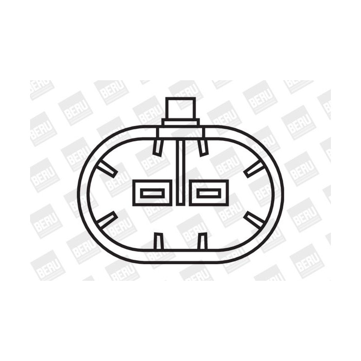 Ritė, uždegimas BorgWarner (BERU) ZS283