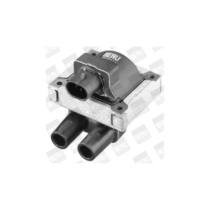 Ritė, uždegimas BorgWarner (BERU) ZS283