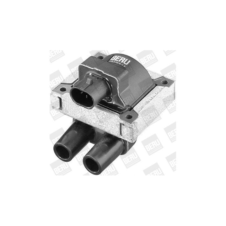 Ritė, uždegimas BorgWarner (BERU) ZS283