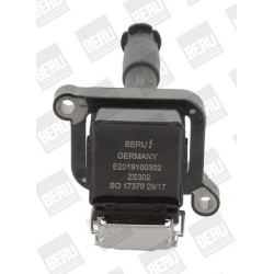 Ritė, uždegimas BorgWarner (BERU) ZS302