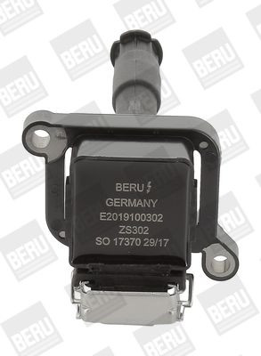 Ritė, uždegimas BorgWarner (BERU) ZS302