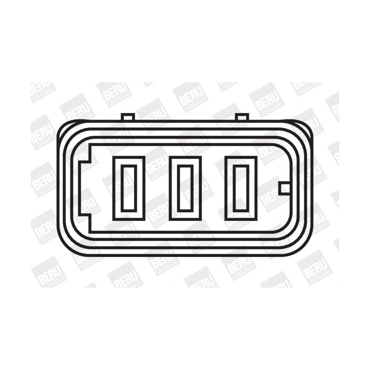 Ritė, uždegimas BorgWarner (BERU) ZS302