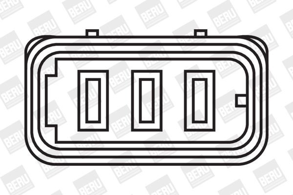 Ritė, uždegimas BorgWarner (BERU) ZS302