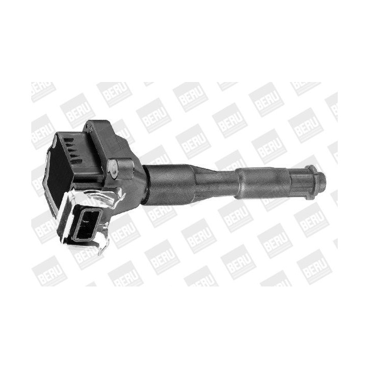 Ritė, uždegimas BorgWarner (BERU) ZS302