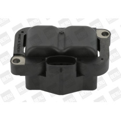 Ritė, uždegimas BorgWarner (BERU) ZS304