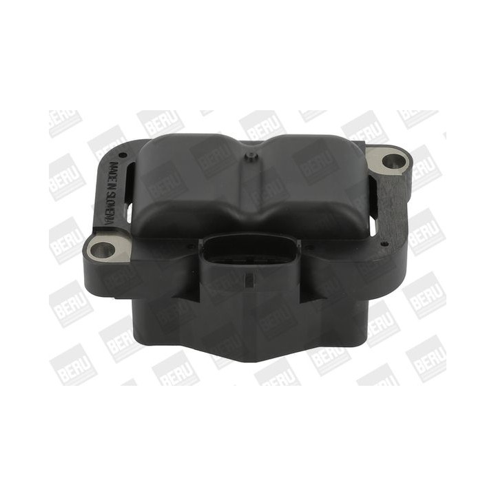 Ritė, uždegimas BorgWarner (BERU) ZS304