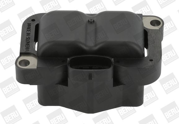 Ritė, uždegimas BorgWarner (BERU) ZS304