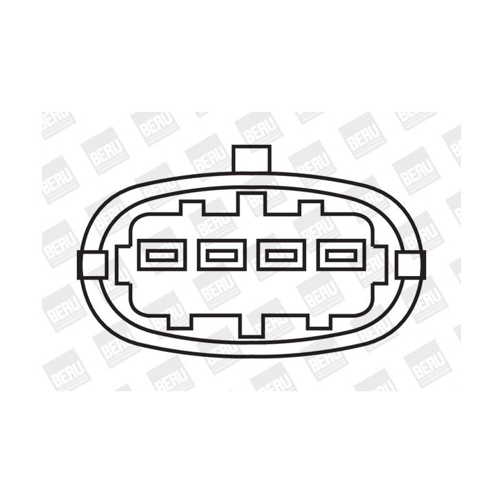 Ritė, uždegimas BorgWarner (BERU) ZS304