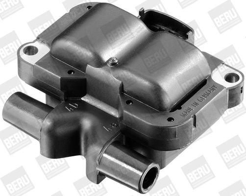 Ritė, uždegimas BorgWarner (BERU) ZS304