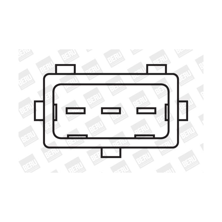 Ritė, uždegimas BorgWarner (BERU) ZS310