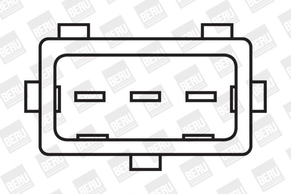 Ritė, uždegimas BorgWarner (BERU) ZS310