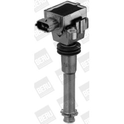 Ritė, uždegimas BorgWarner (BERU) ZS311