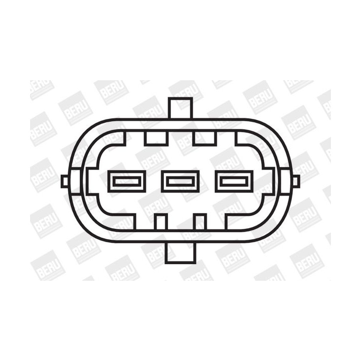 Ritė, uždegimas BorgWarner (BERU) ZS311