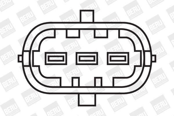 Ritė, uždegimas BorgWarner (BERU) ZS311