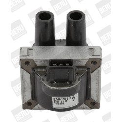 Ritė, uždegimas BorgWarner (BERU) ZS315