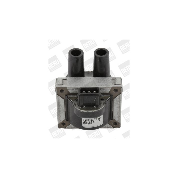 Ritė, uždegimas BorgWarner (BERU) ZS315