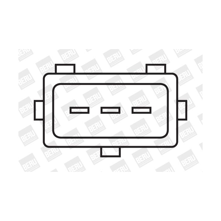 Ritė, uždegimas BorgWarner (BERU) ZS315