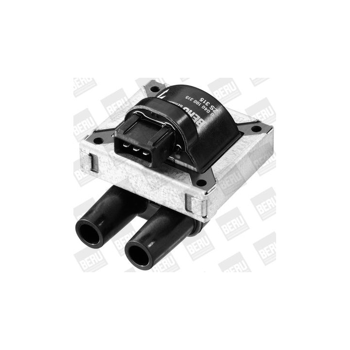 Ritė, uždegimas BorgWarner (BERU) ZS315
