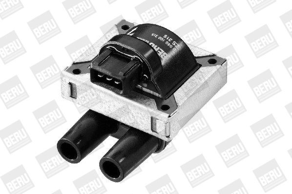 Ritė, uždegimas BorgWarner (BERU) ZS315