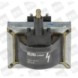 Ritė, uždegimas BorgWarner (BERU) ZS316