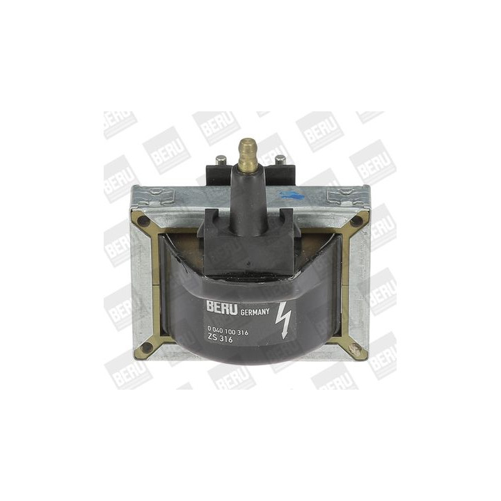 Ritė, uždegimas BorgWarner (BERU) ZS316