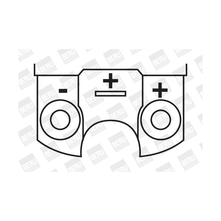 Ritė, uždegimas BorgWarner (BERU) ZS316