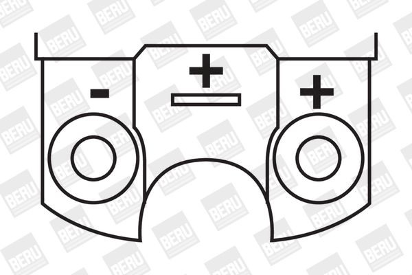 Ritė, uždegimas BorgWarner (BERU) ZS316