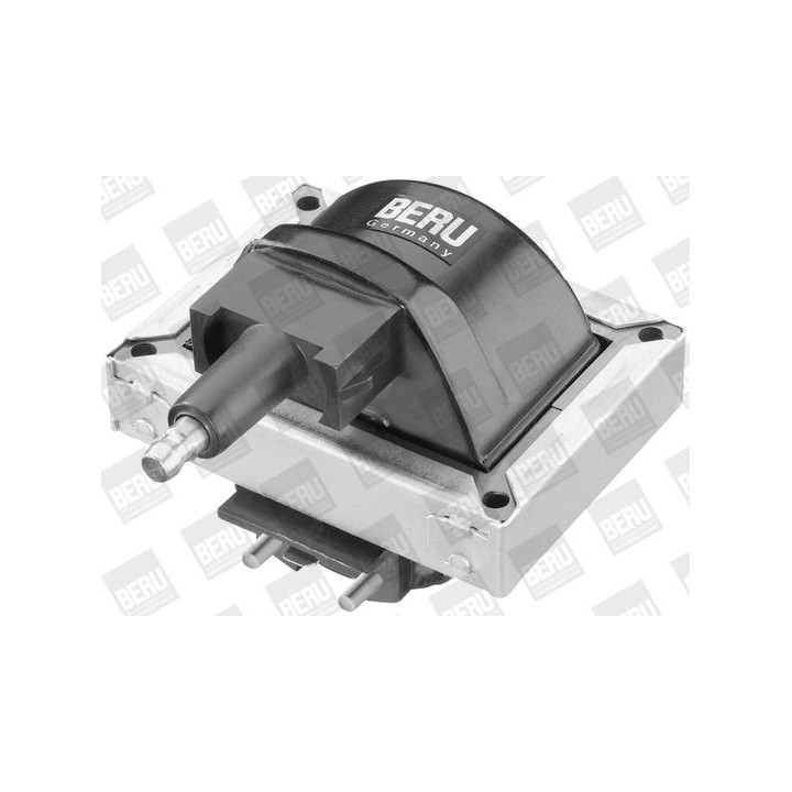 Ritė, uždegimas BorgWarner (BERU) ZS316