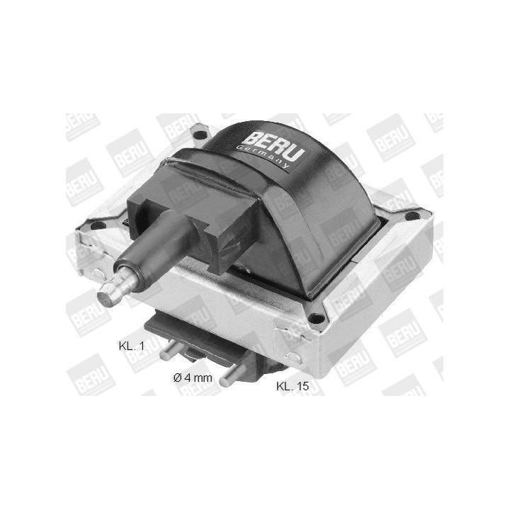 Ritė, uždegimas BorgWarner (BERU) ZS316